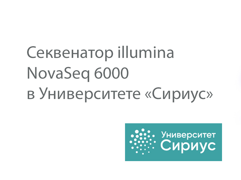 Секвенатор illumina NovaSeq 6000  в Университете «Сириус»