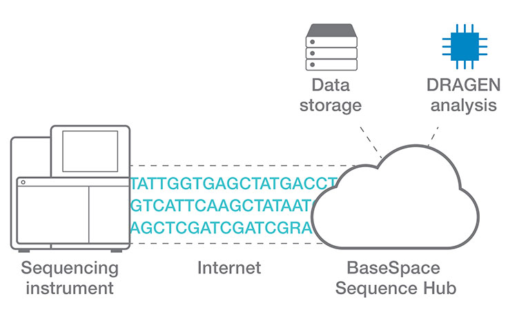 basespace-dragen-sequence-hub-web-graphic.jpg